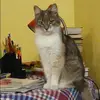 Отзыв от Инна Покровская